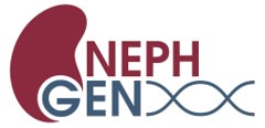 NephGen-logo.jpg
