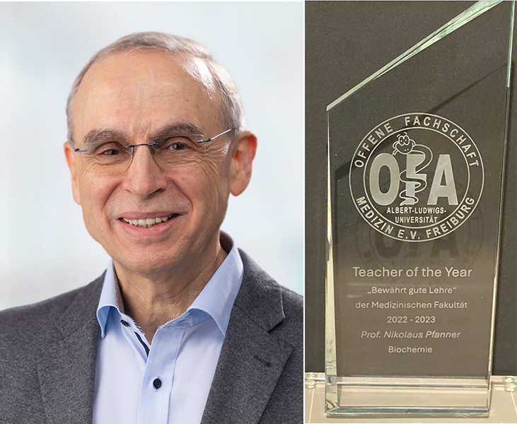 Teacher of the Year Award for Nikolaus Pfanner